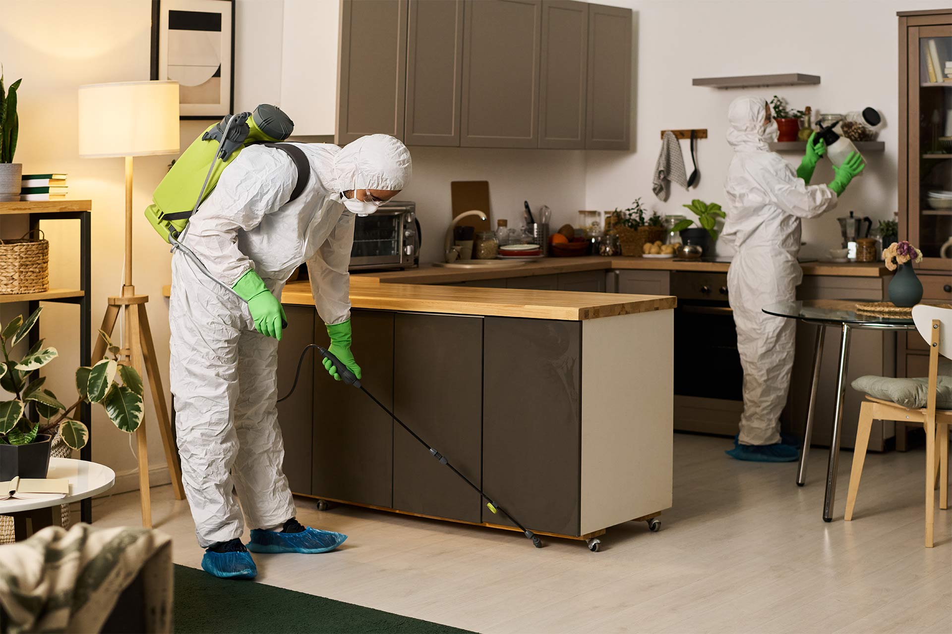 Pest control team