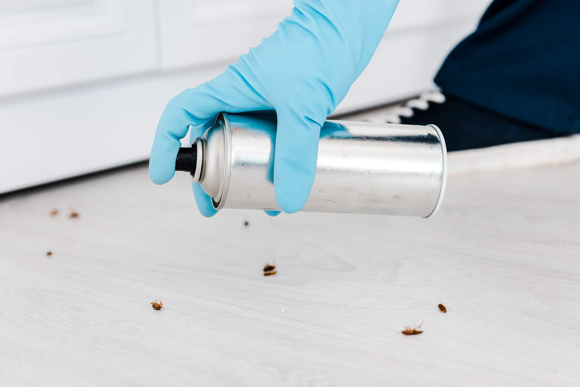 Pest technician checking property