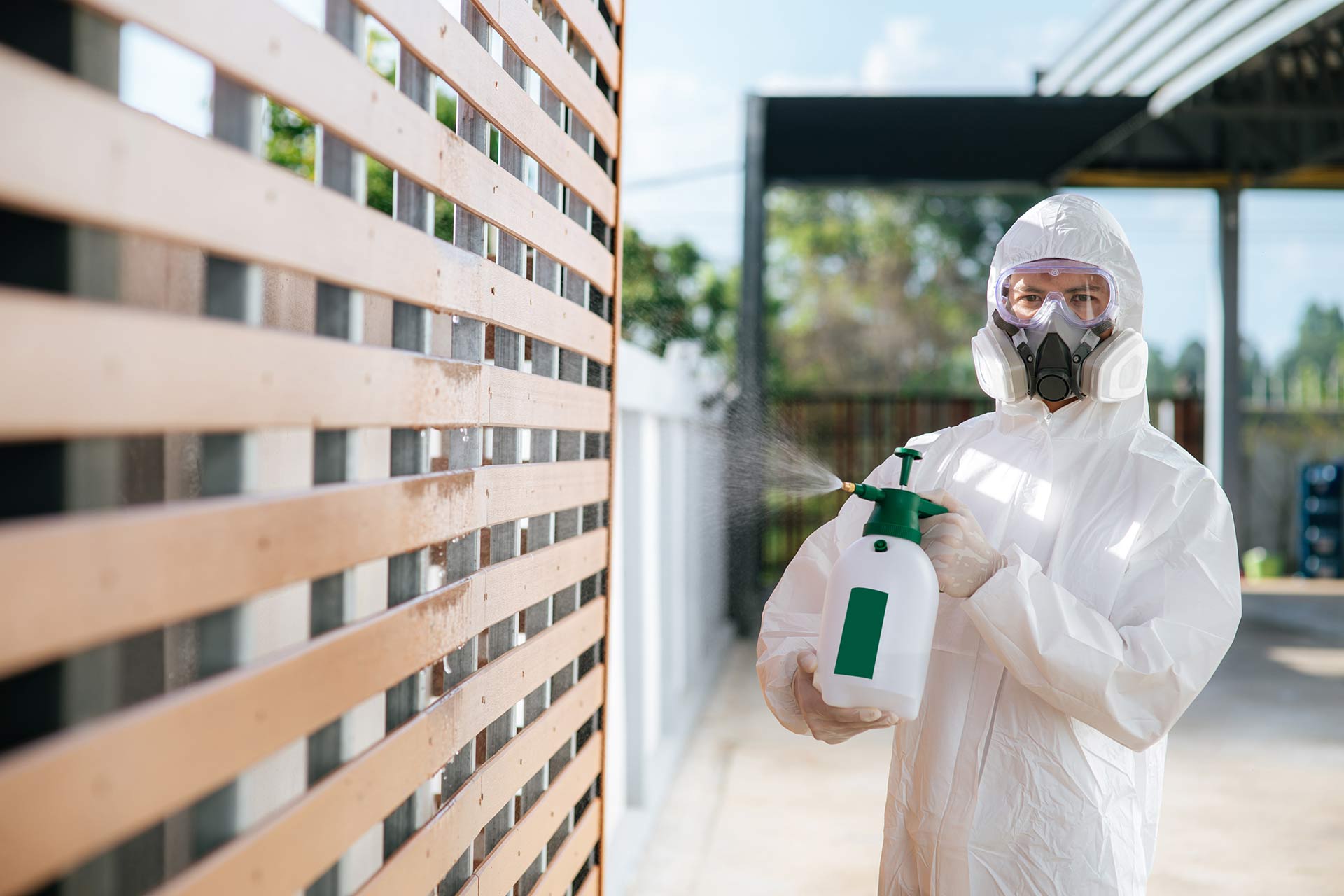 Spider control Brisbane West