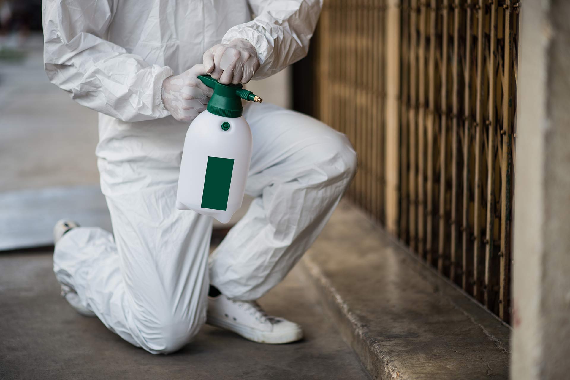 Licensed pest technician Brisbane West