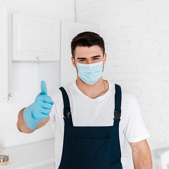 Licensed pest technician