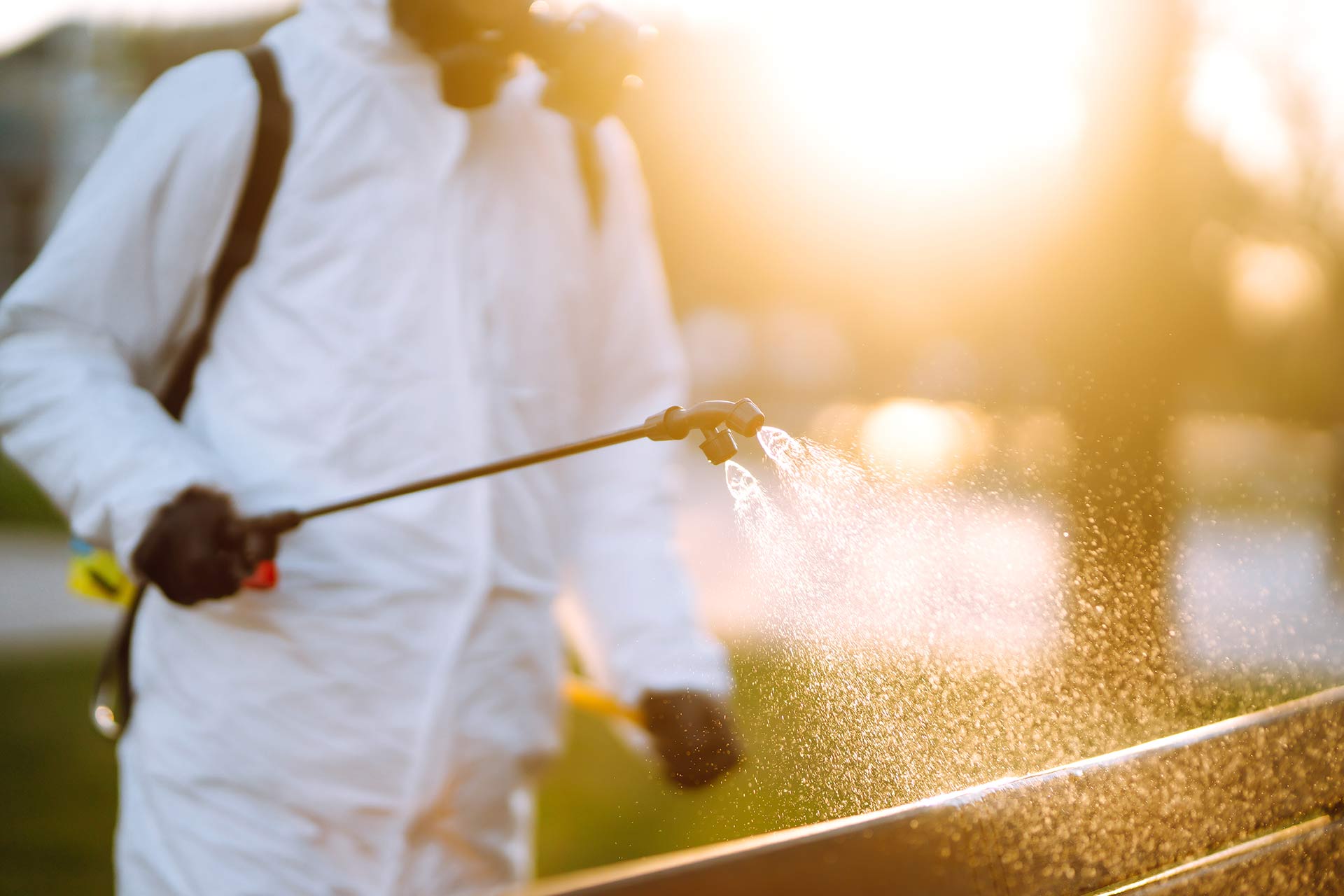 Pest control spraying