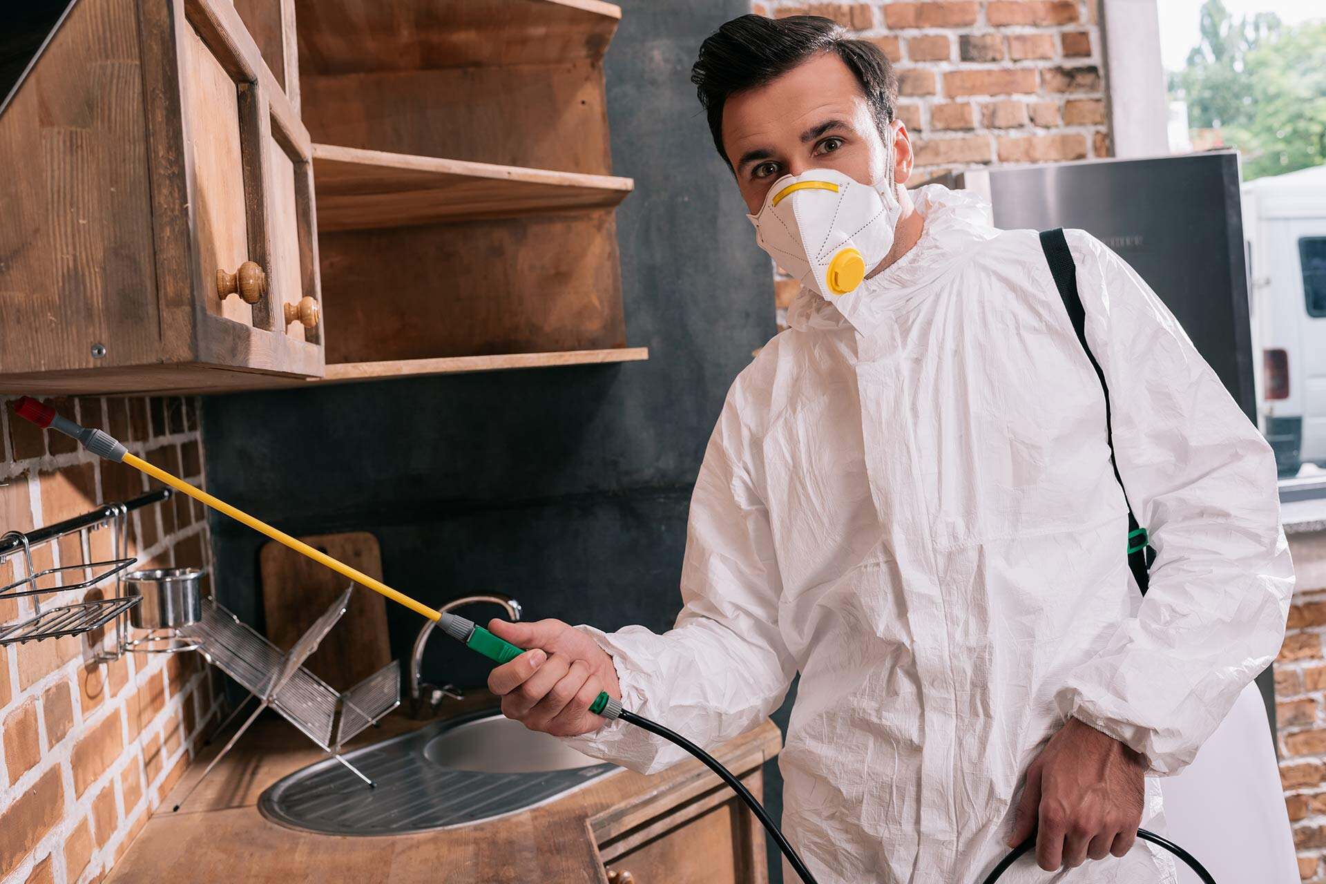 Pest control Brisbane West