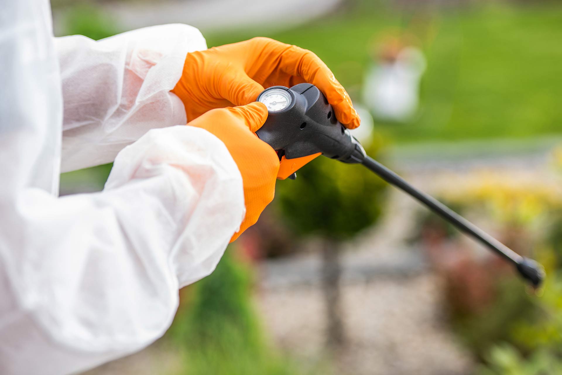 Licensed pest technician Brisbane