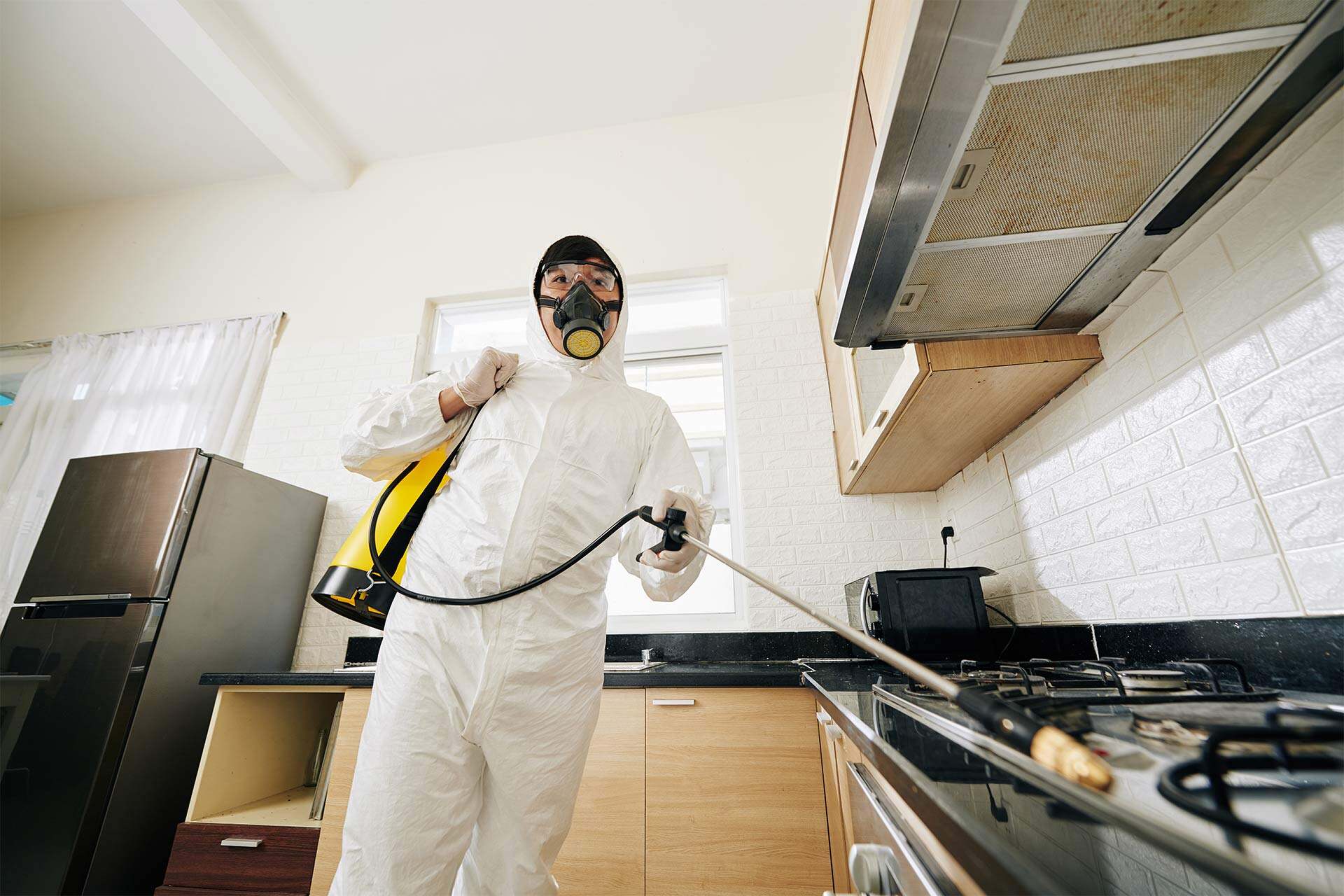 Pest control Brisbane West